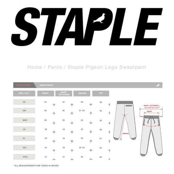 🥳 HOST PICK 🥳 NWT Men’s Staple Pigeon Teal Joggers Size Medium - Picture 13 of 13